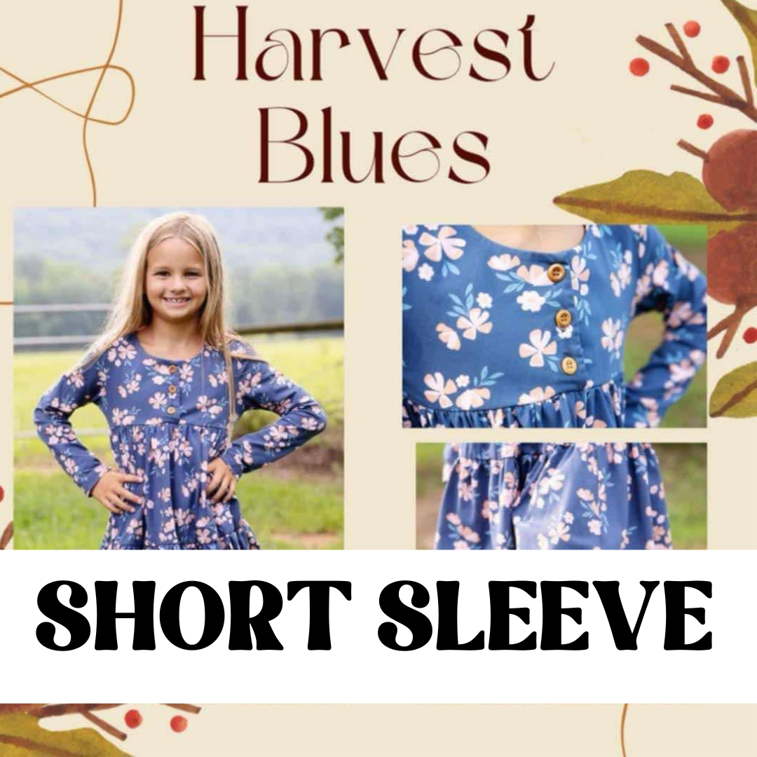 HARVEST BLUES SHORT SLEEVE KNIT DRESS
